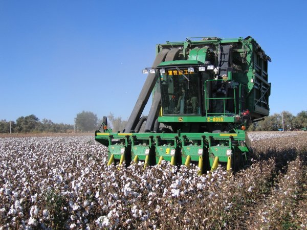 升利配 甘肃瓜州专项行动保障5400多名采棉工权益