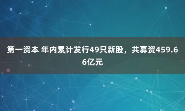 第一资本 年内累计发行49只新股，共募资459.66亿元